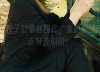 丽柜 - 桃子的蕾丝图库，资源丰富得跟超市特价似的！